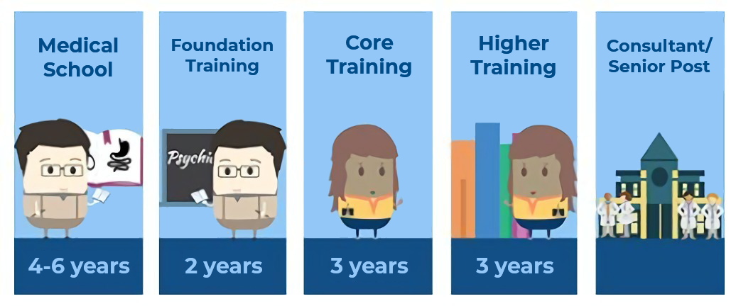 How to become a psychiatrist graphic The stages of study and training to become a qualified psychiatrist